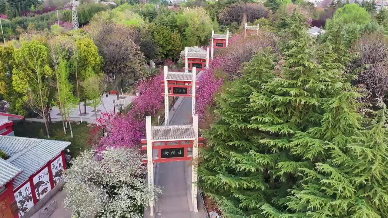 航拍河南省郑州市荥阳市禹锡园景区的樱花季视频素材