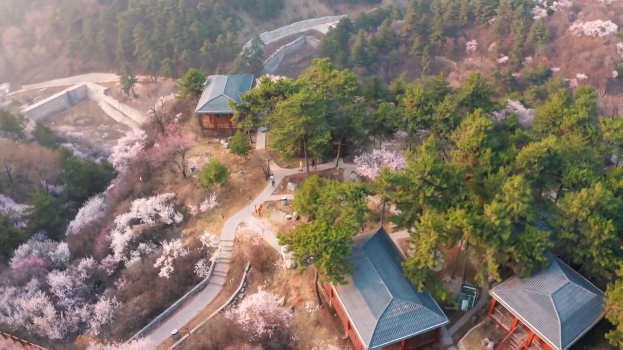 春天清晨航拍山西太原桃花沟视频素材