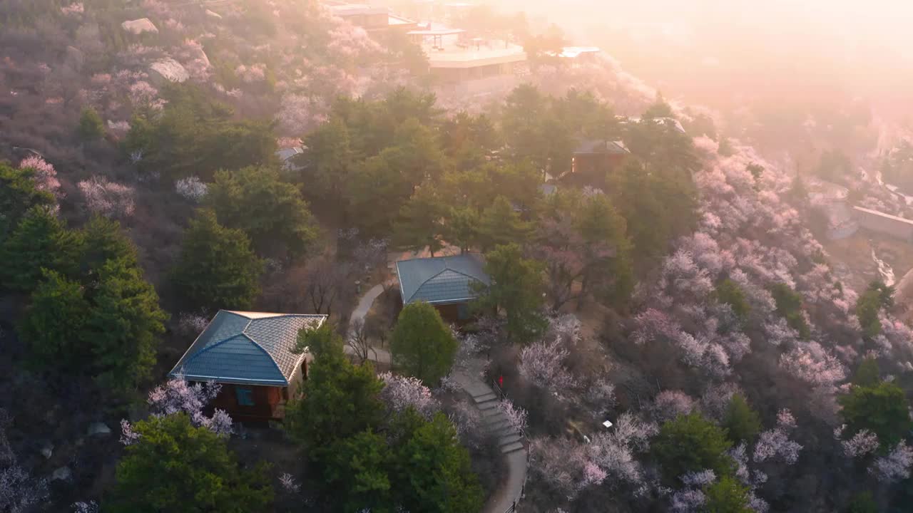 春天清晨航拍山西太原桃花沟视频素材