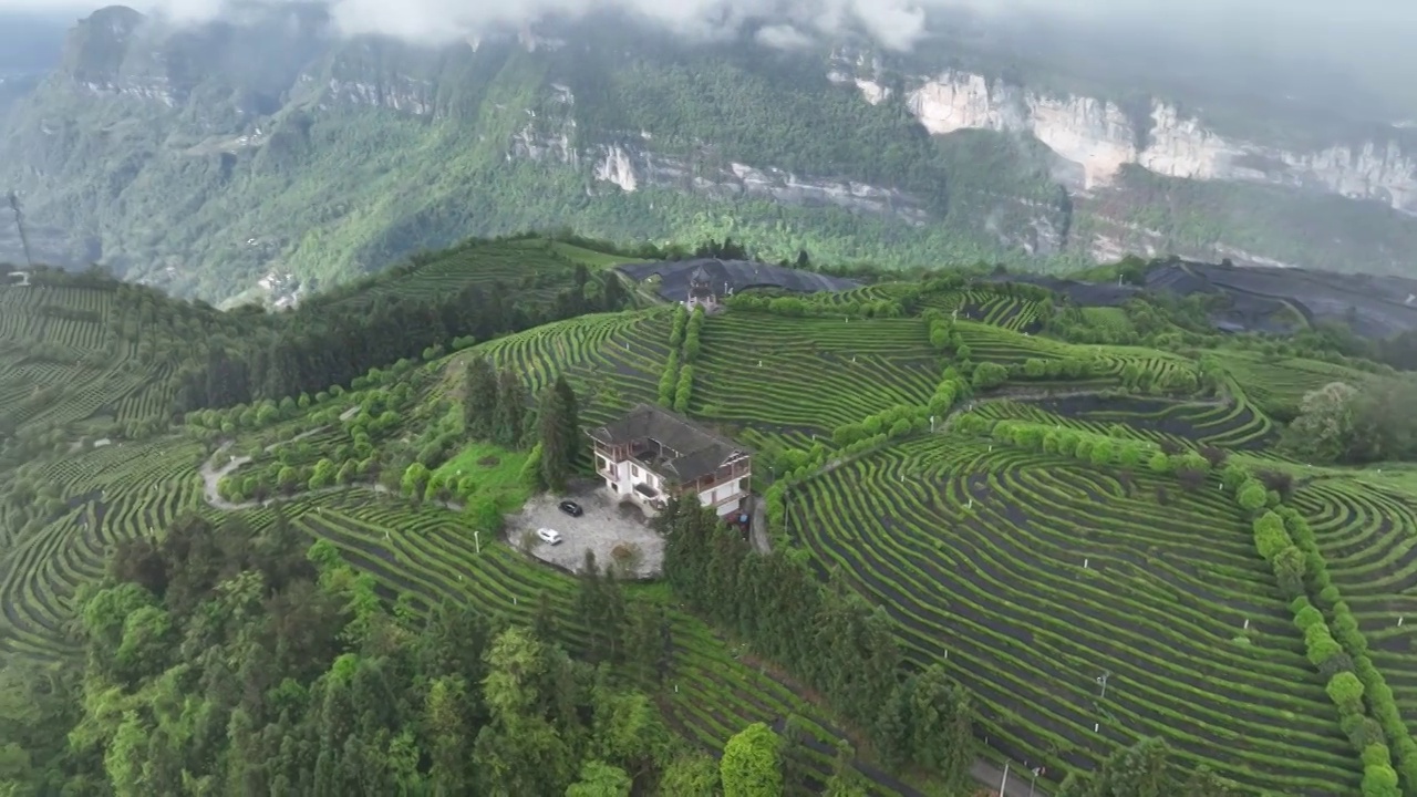 航拍世界硒都湖北历史名茶恩施玉露茶叶基地-恩施市屯堡乡马者村有机茶fq视频素材