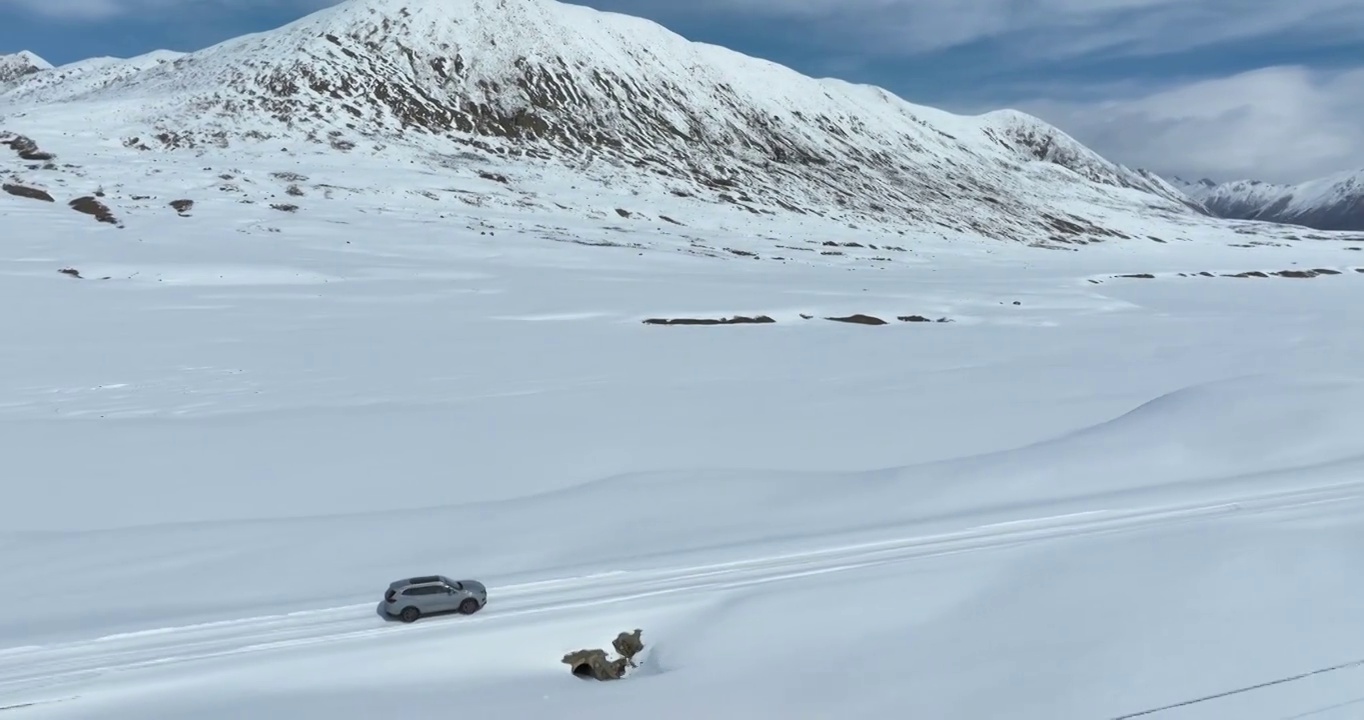 越野车SUV行驶在青藏高原高海拔雪原中积雪的道路上视频素材