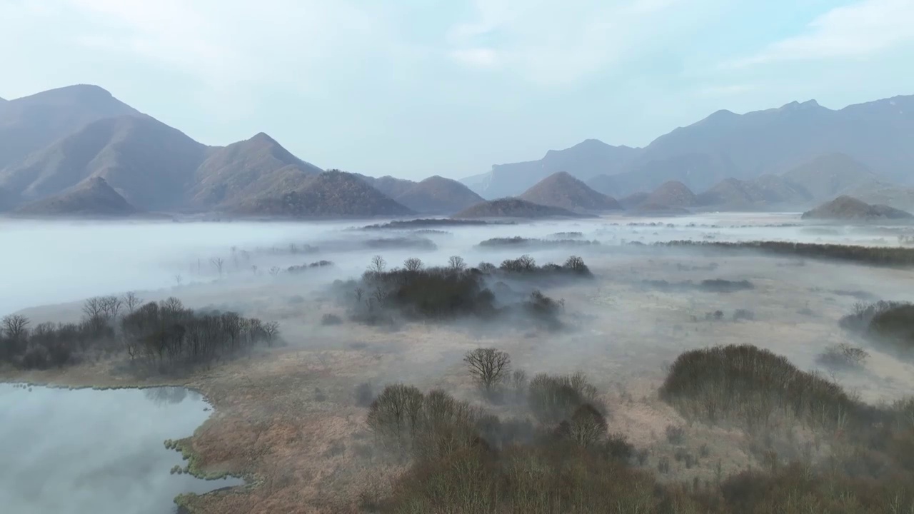 航拍湖北旅游神农架大九湖晨雾自然风光视频素材