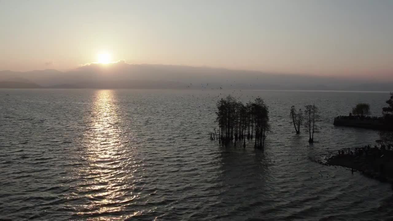 大理洱海日出海鸥云层湖边视频素材