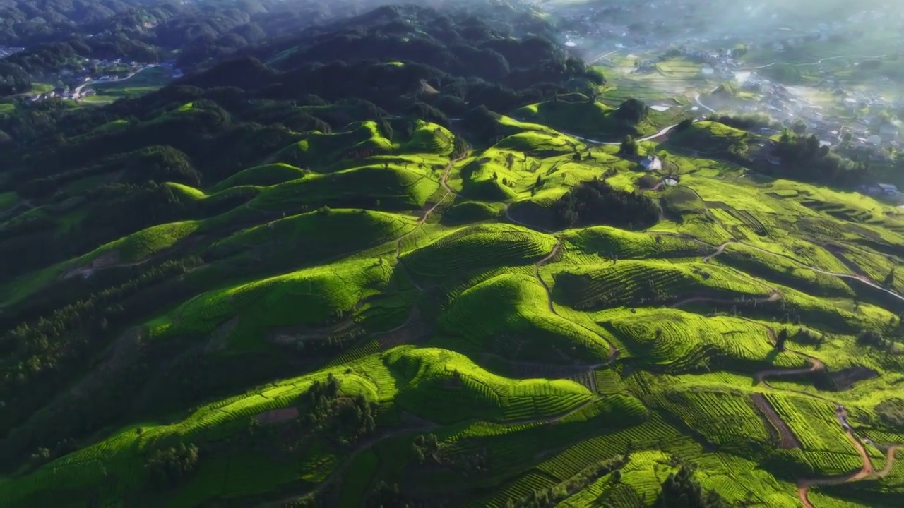 山势起伏的茶园，茶山视频素材