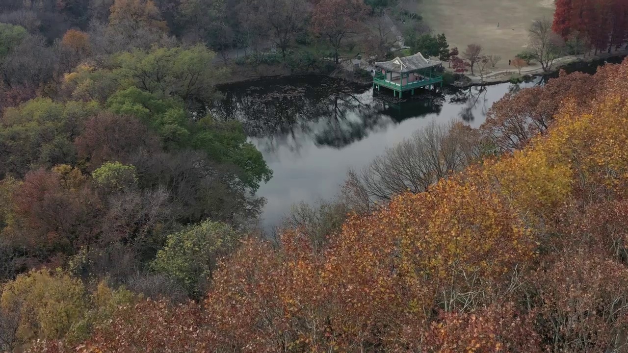 航拍南京中山陵水榭秋景视频素材