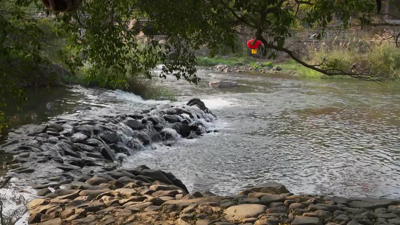 自然溪水河流视频素材