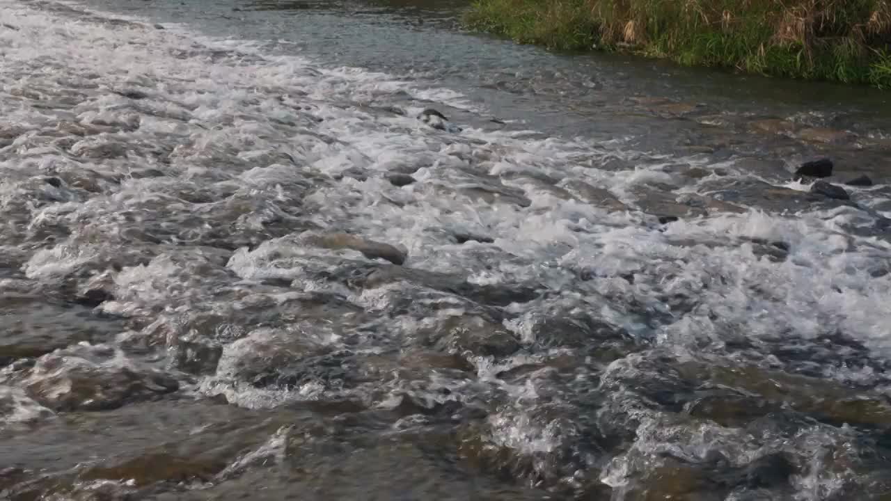 自然溪水河流视频素材