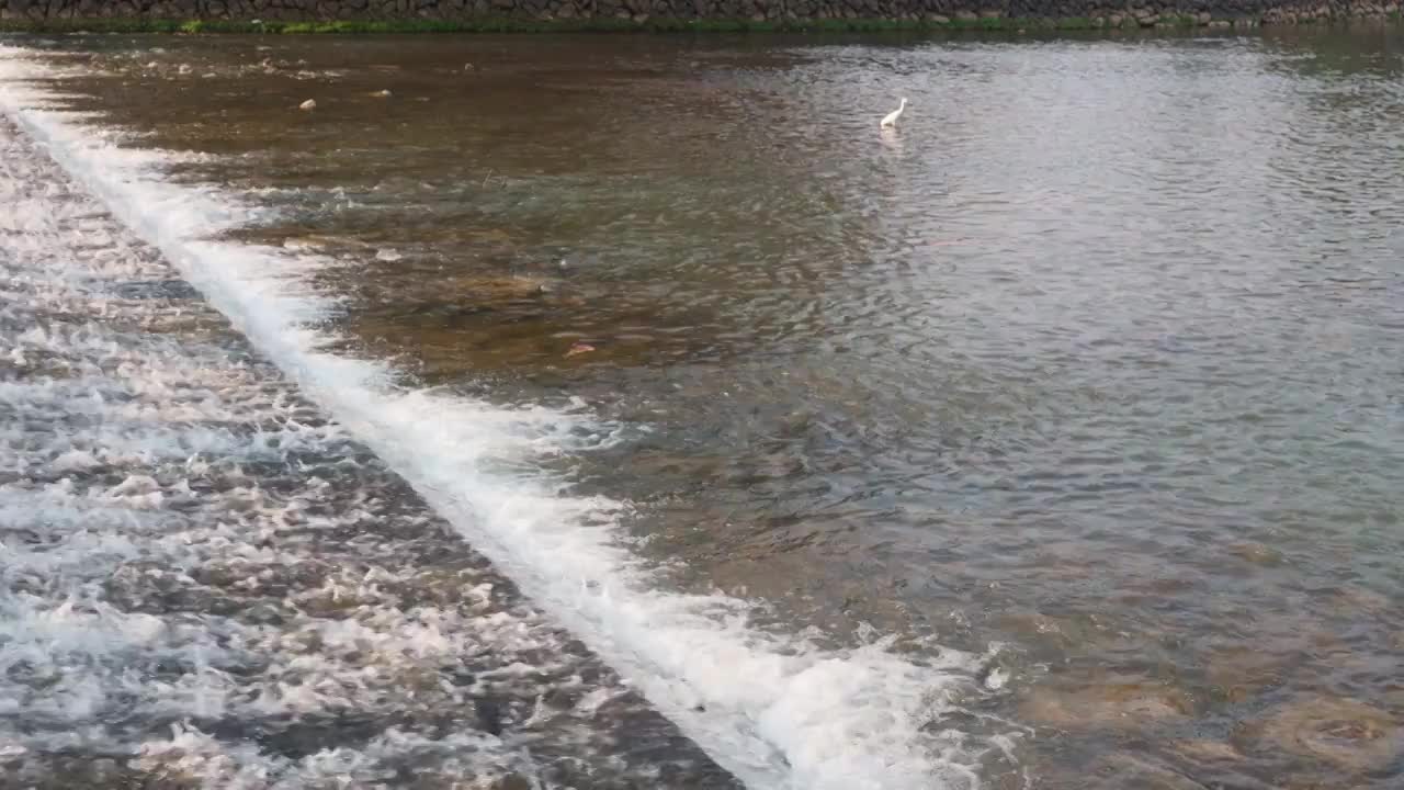 自然溪水河流视频素材