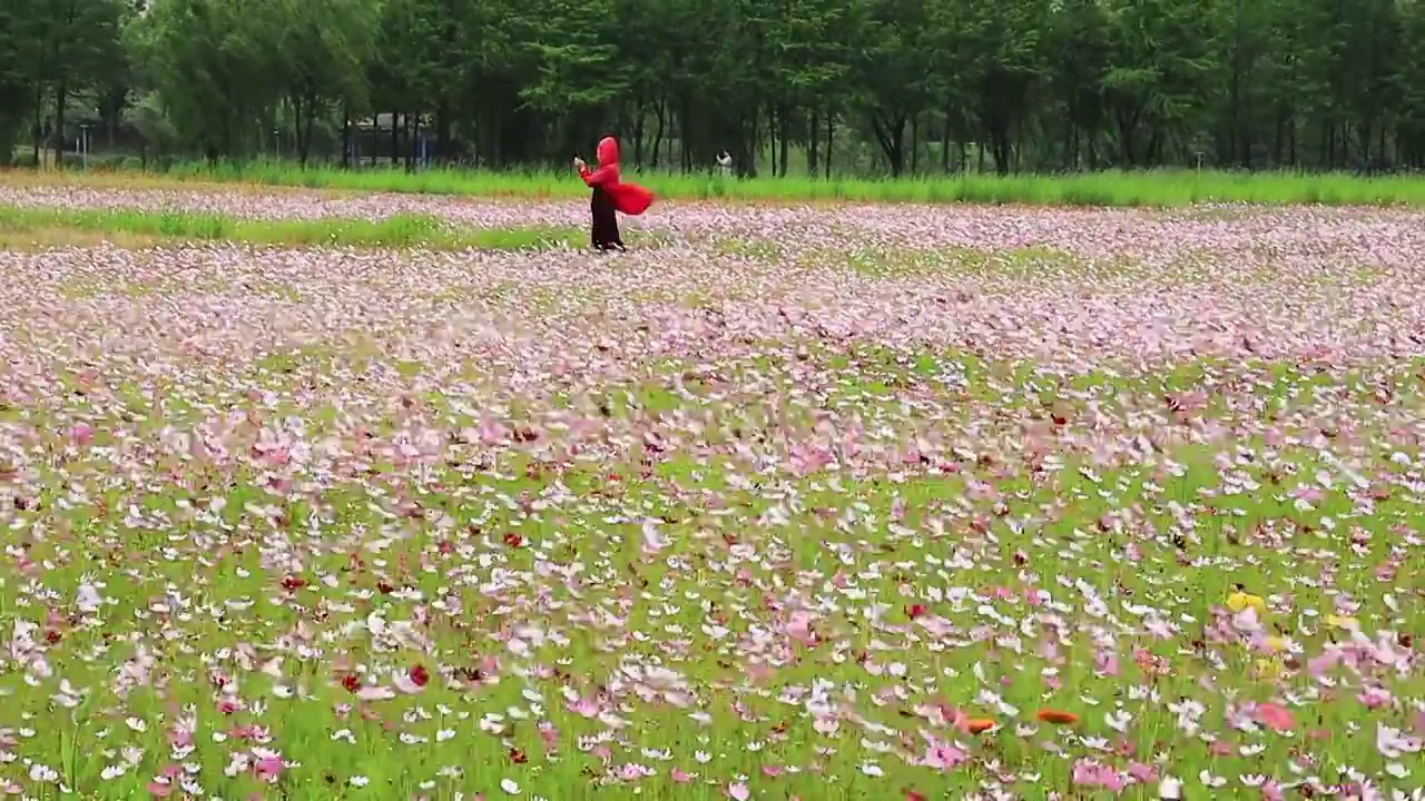 花海中游玩打卡的路人视频素材