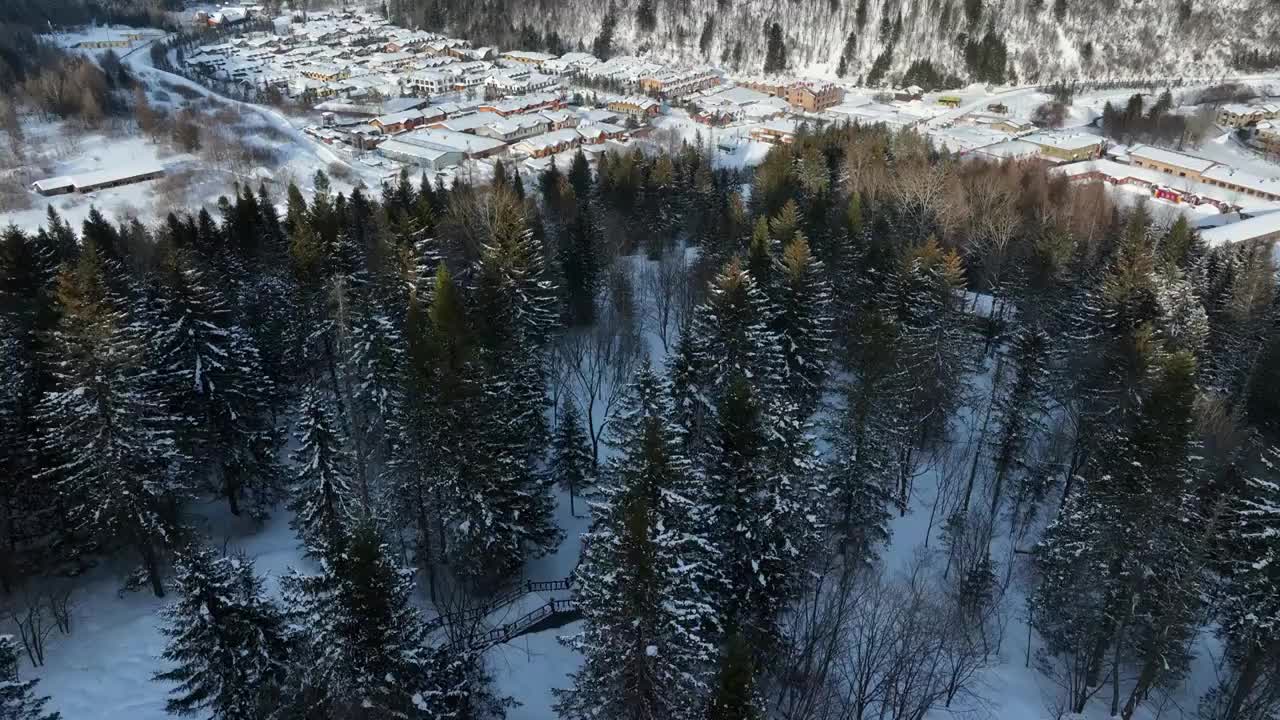 黑龙江雪乡冬季林海雪原森林风光航拍视频素材