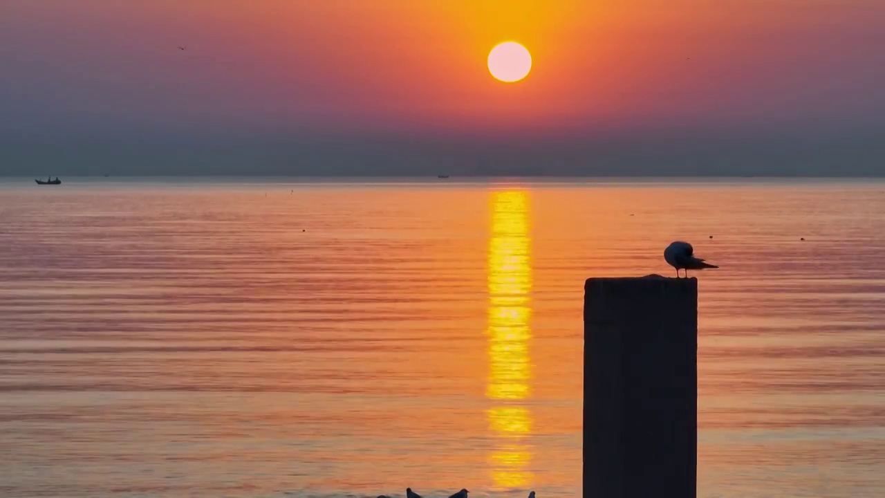 航拍海上日出视频素材