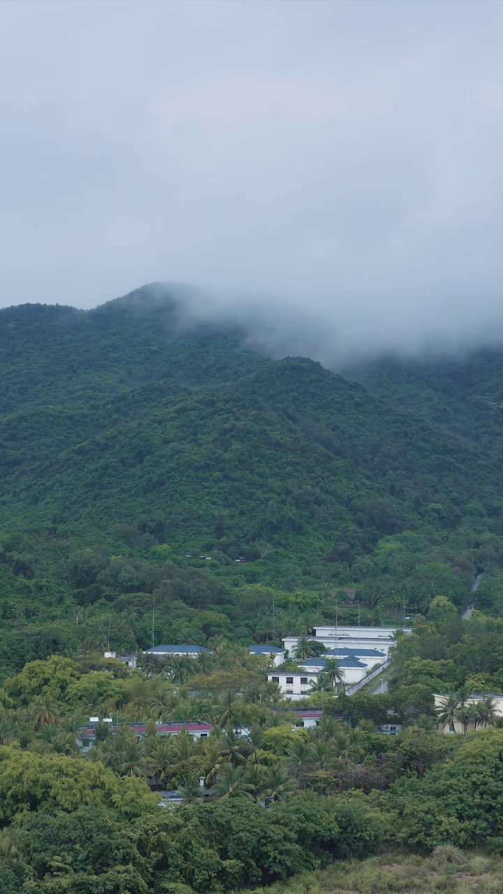 三亚雨后山脚下雨雾缥缈的房子（竖屏）视频素材