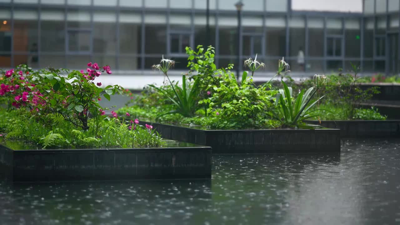 小雨雨中滴落的雨滴视频素材