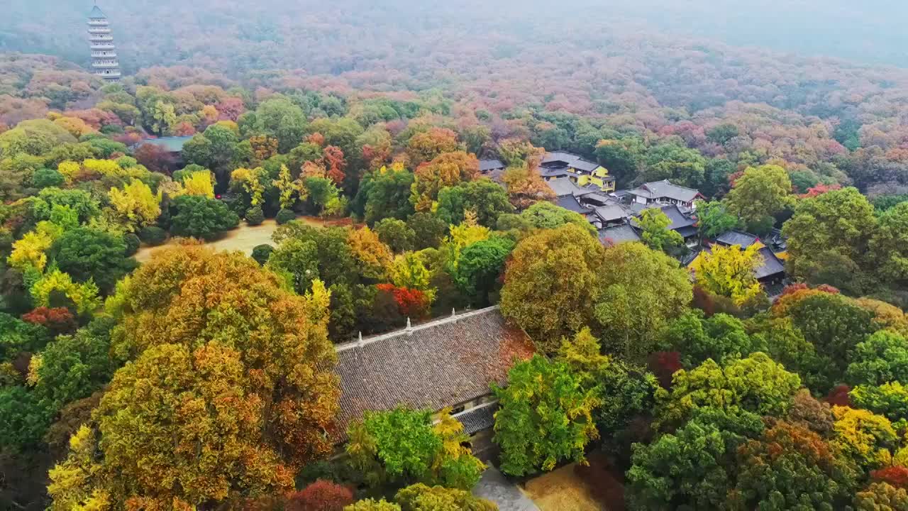 航拍南京紫金山秋天灵谷寺视频素材