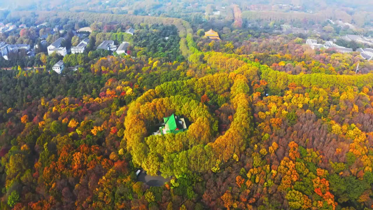 航拍南京紫金山秋天美龄宫项链视频素材