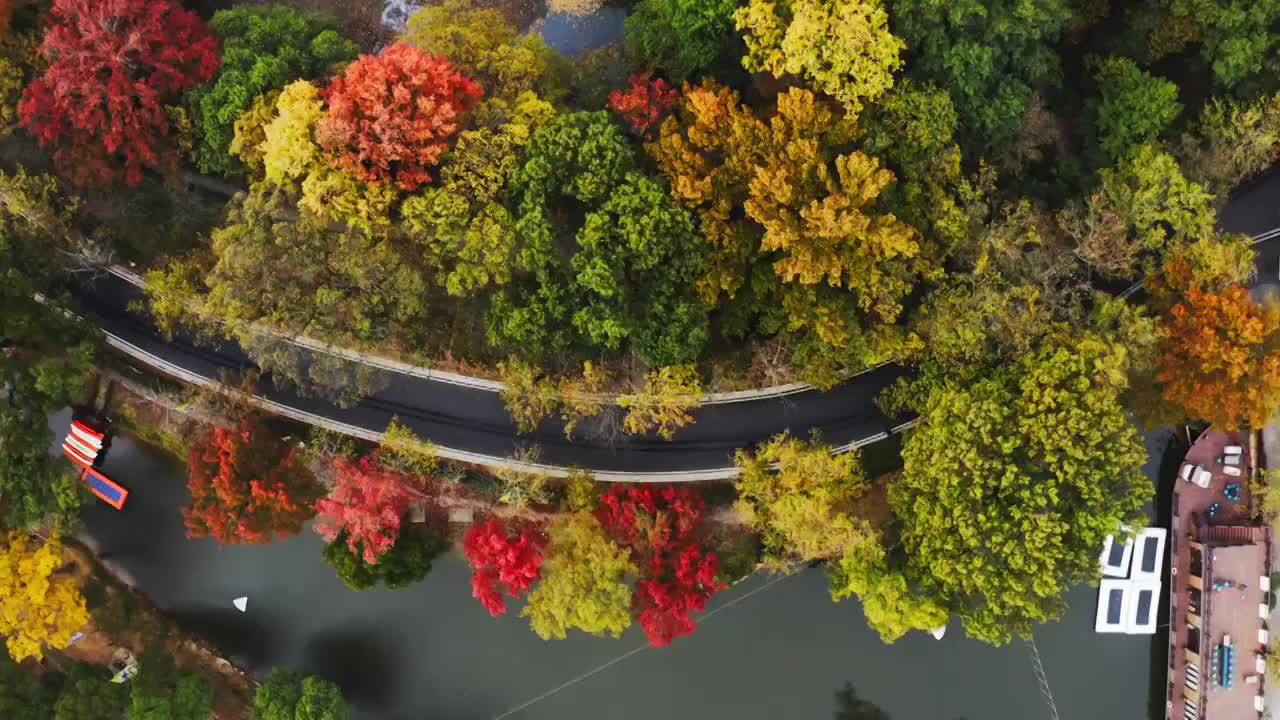 航拍南京紫金山秋天公路视频素材