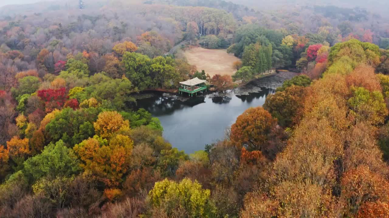 航拍南京紫金山秋天水榭视频素材