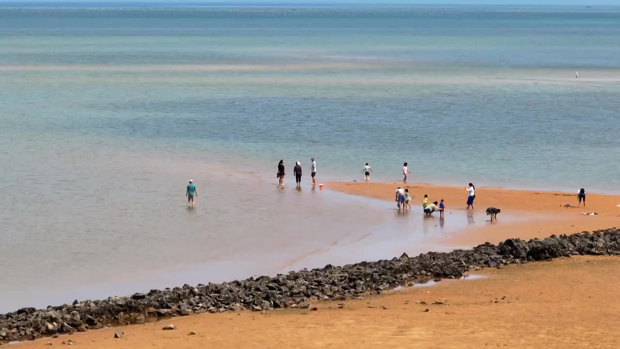 海边赶海抓鱼视频素材