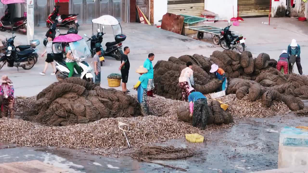 海边赶海抓鱼视频素材