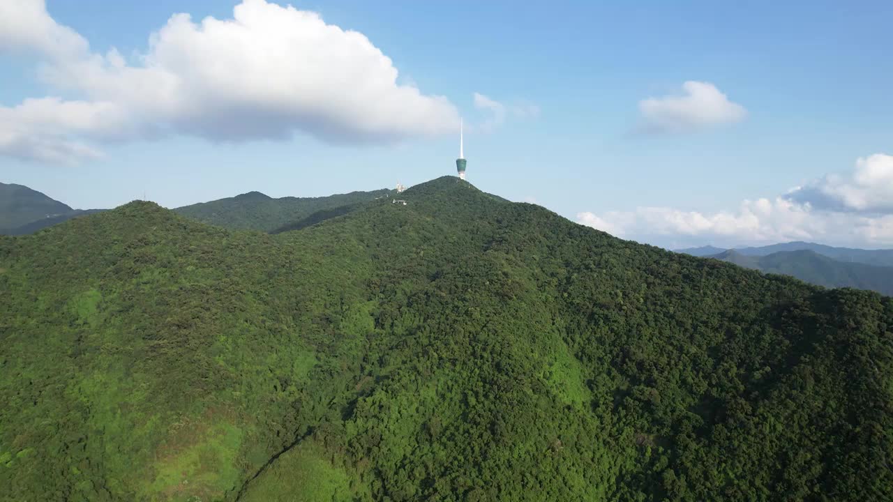 深圳仙湖植物园梧桐山航拍视频素材