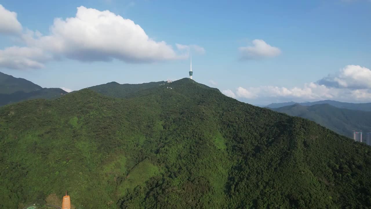 深圳仙湖植物园航拍视频素材