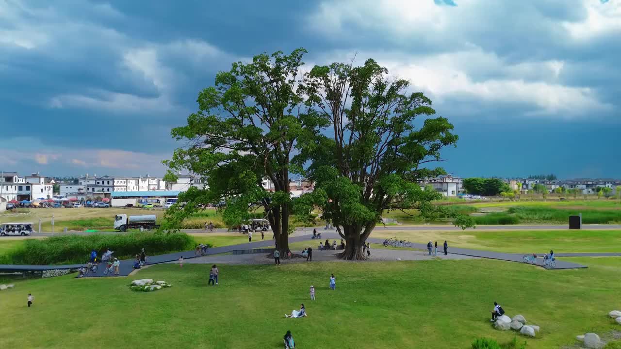 航拍大理喜洲夏日风光视频素材