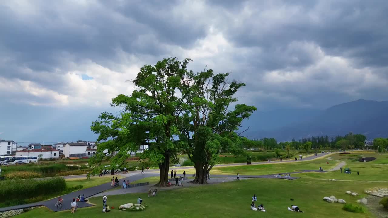 航拍大理喜洲夏日风光视频素材