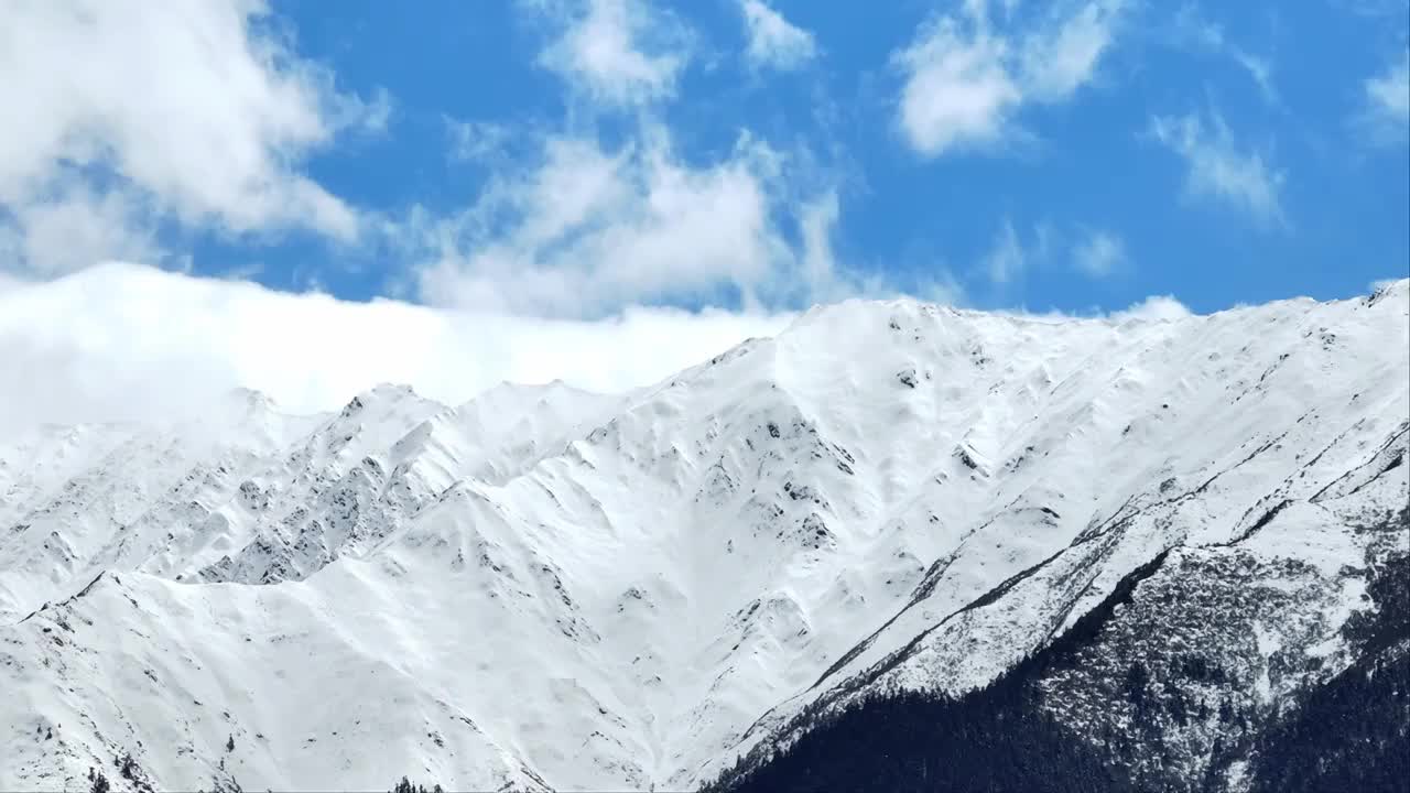 蓝天白云下的西藏林芝雪山风光视频素材