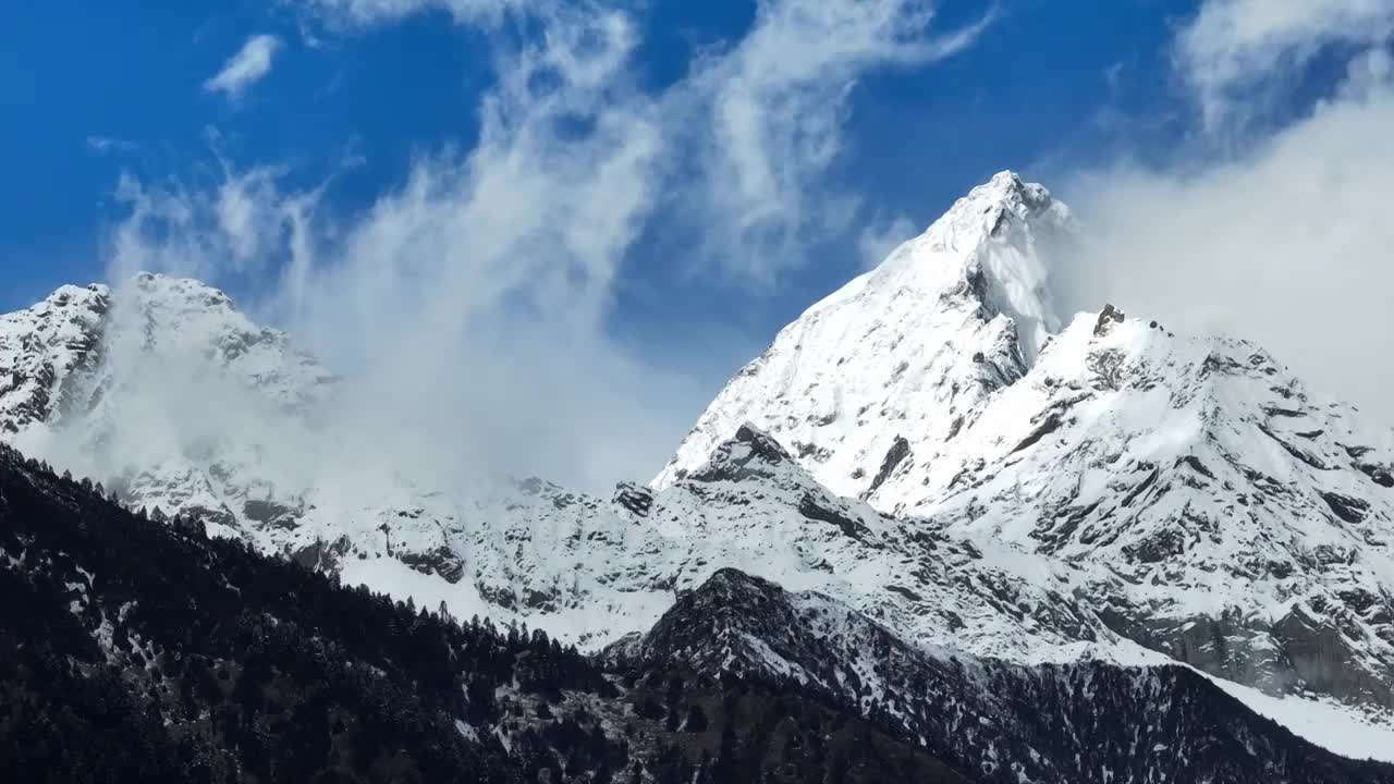 蓝天白云下的西藏林芝雪山风光视频素材