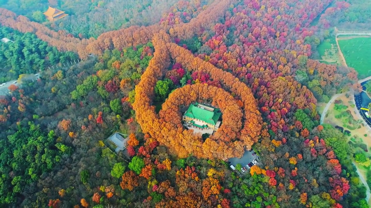 南京钟山美龄宫项链秋天视频素材