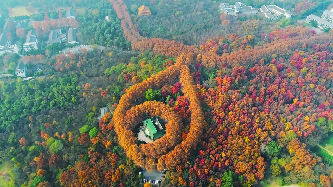 南京钟山美龄宫项链秋天视频素材