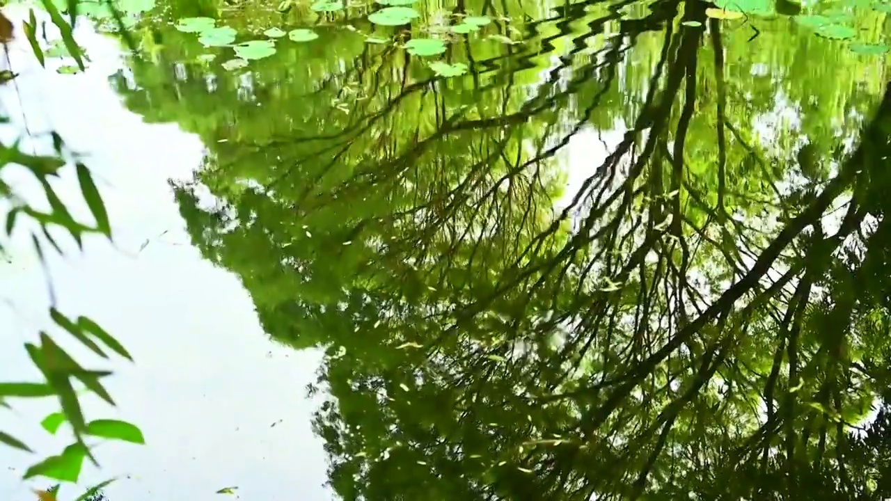 水波荡漾视频素材