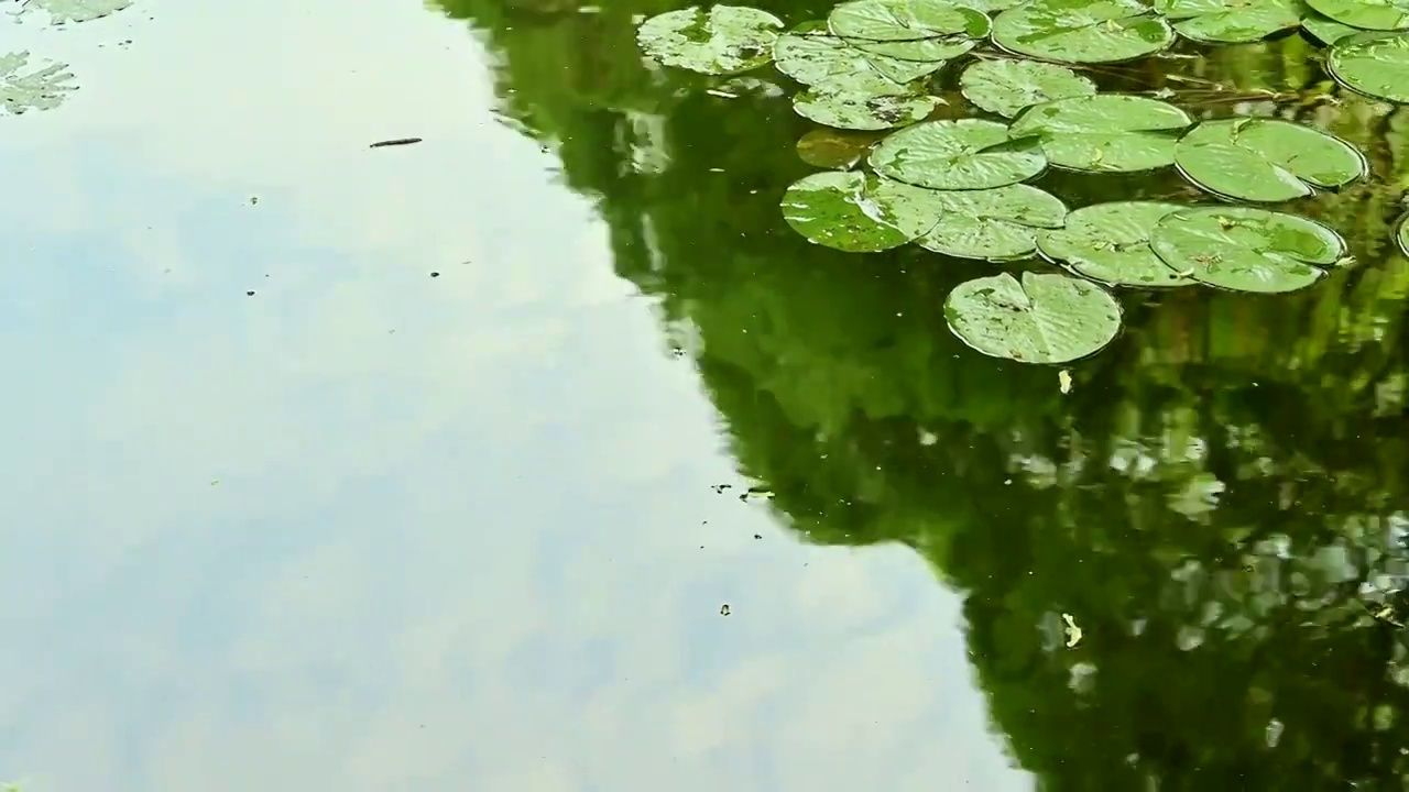 水波荡漾视频素材