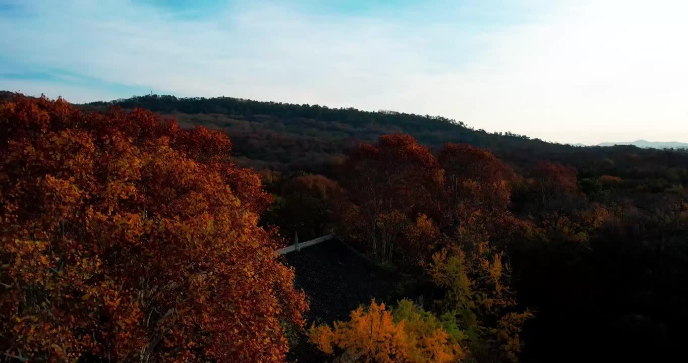 南京中山陵灵谷寺秋季风光视频素材