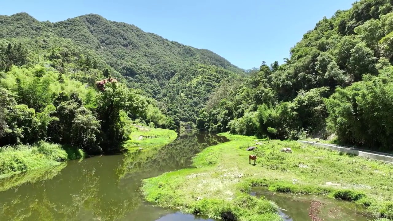 美丽乡村振兴建设宣传片头航拍风光环境河流视频素材