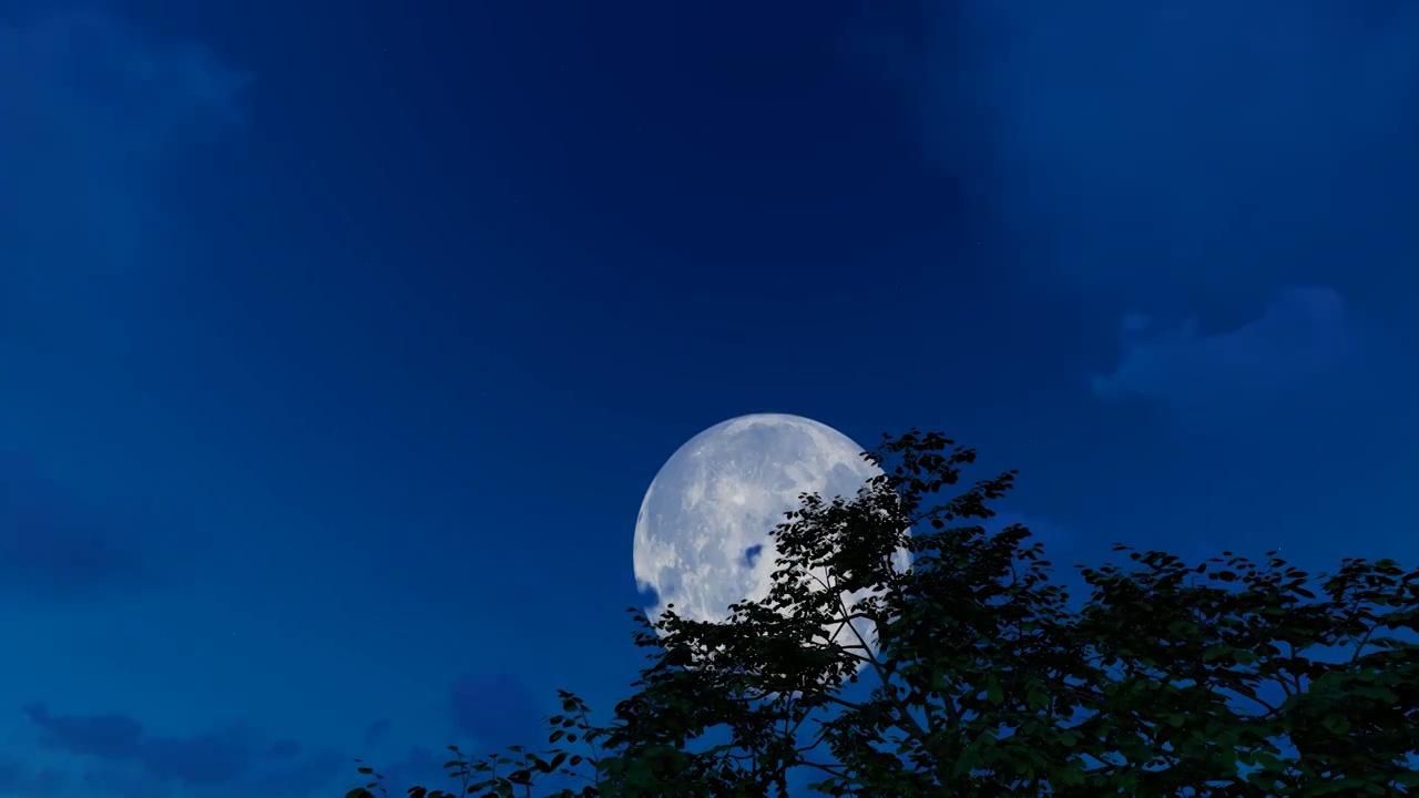 中秋节夜晚满月升空月上树梢视频素材