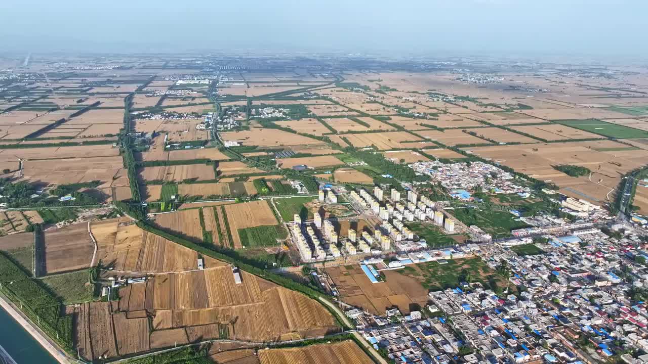 航拍河南省焦作市粮食主产区的小麦成熟的景象视频素材