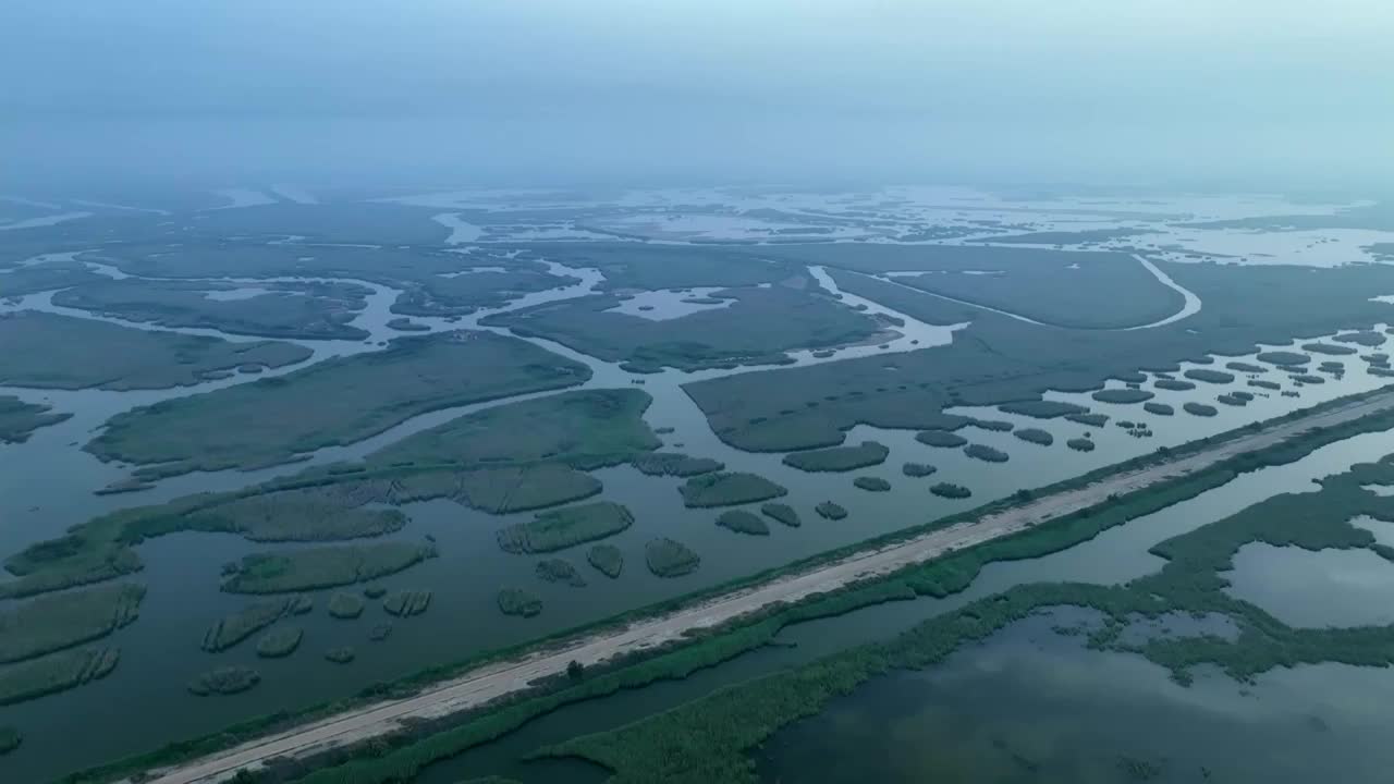 黄河入海口湿地视频素材