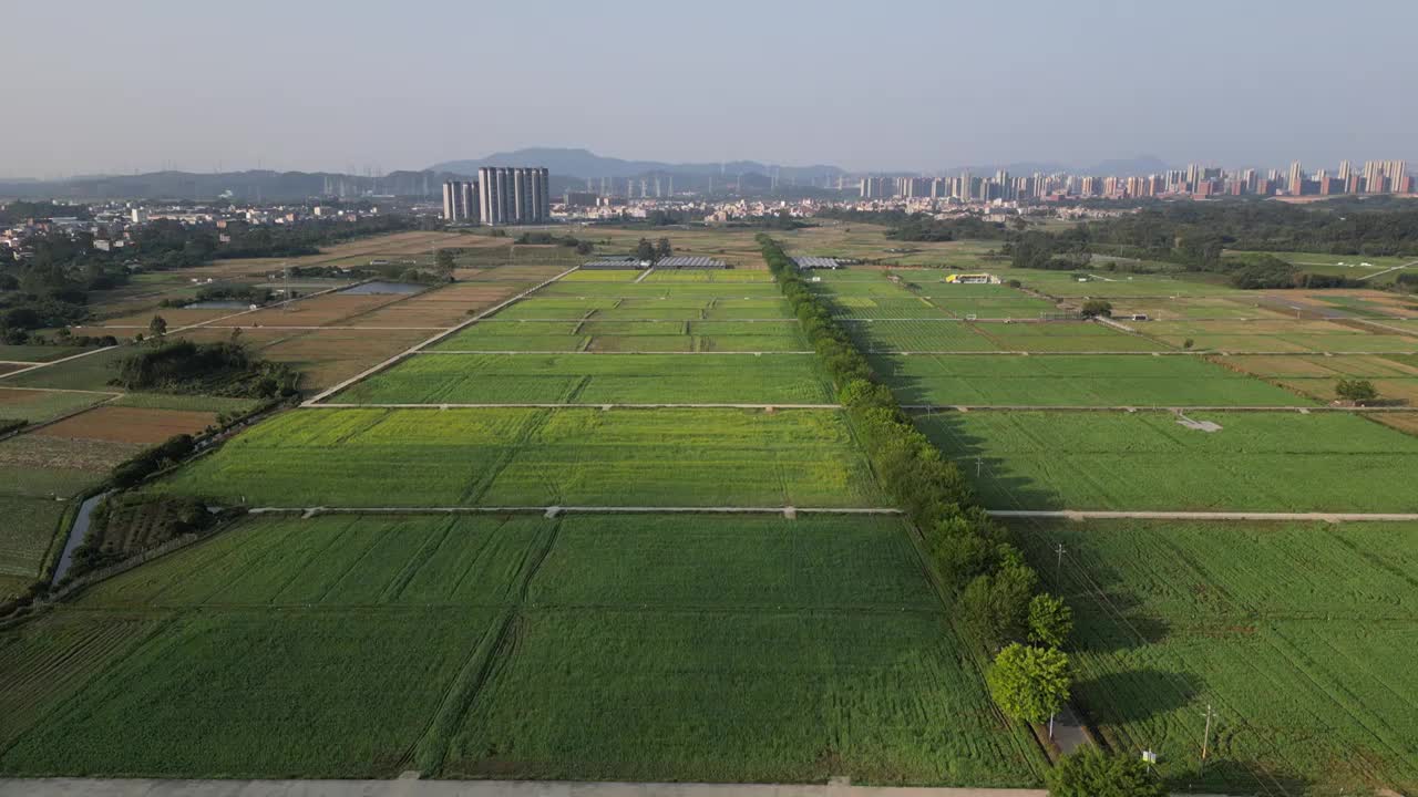 广州增城区朱村乡村发展航拍视频素材