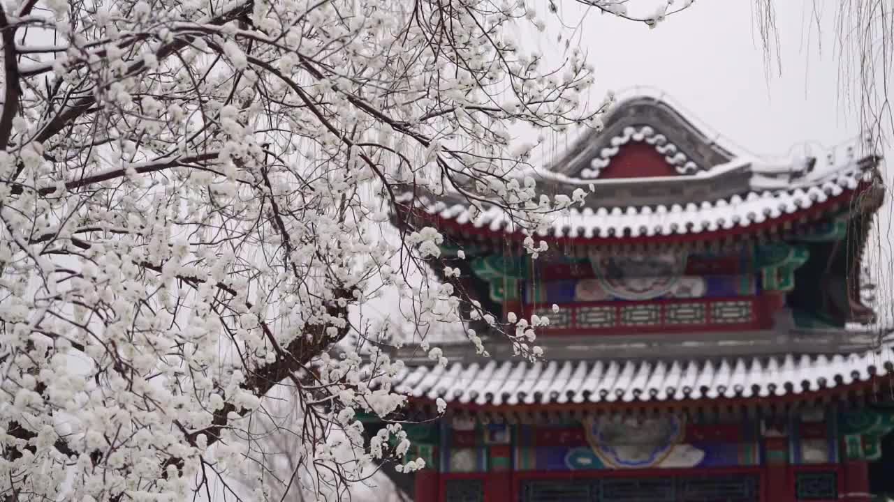 春雪中的颐和园视频素材