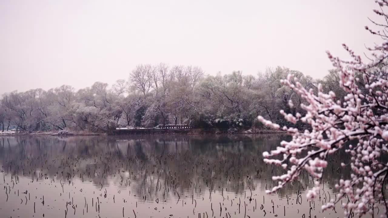 春雪中的颐和园视频素材