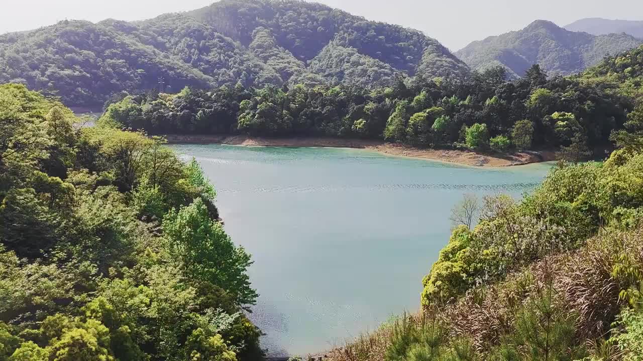 森林中的湖水风景视频素材