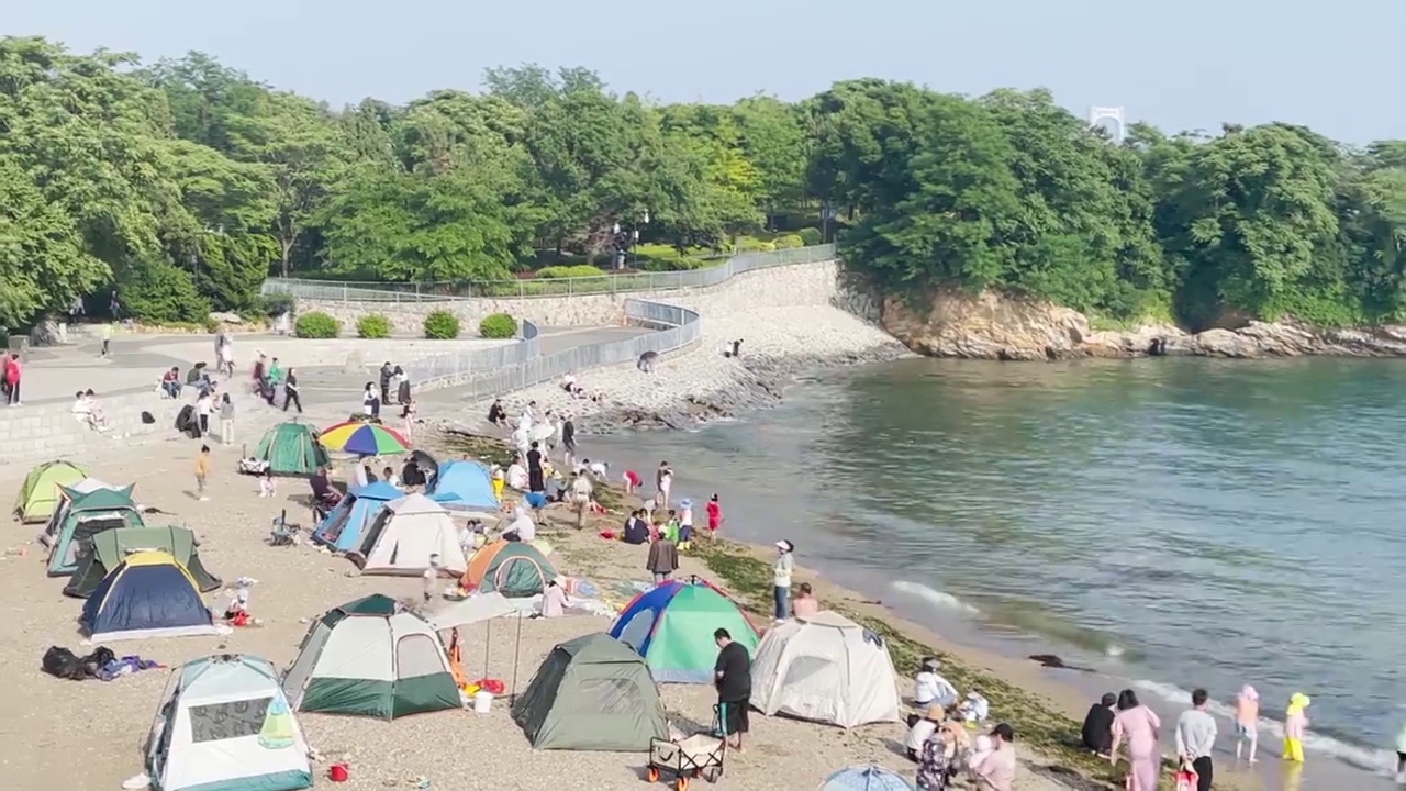 大连星海公园的夏日视频素材