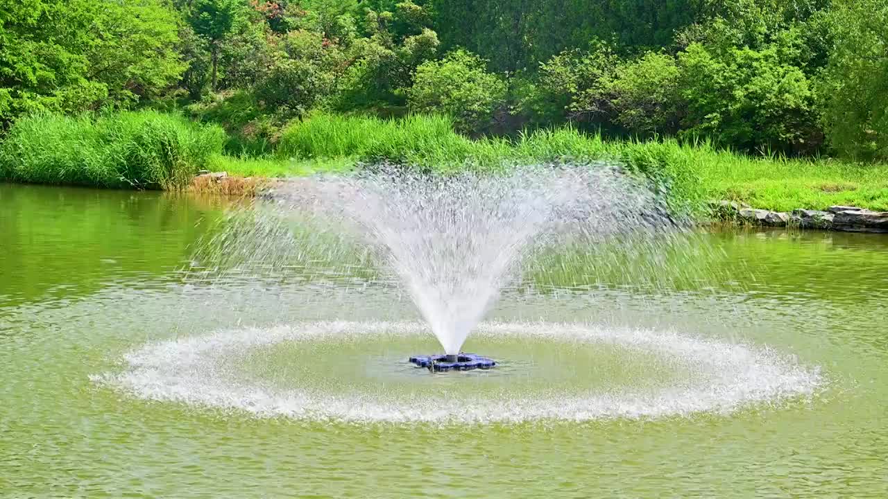 夏季公园湖面上的喷泉视频素材