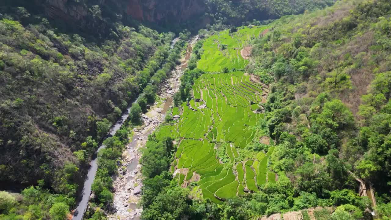 云南省玉溪市元江县梯田航拍视频素材