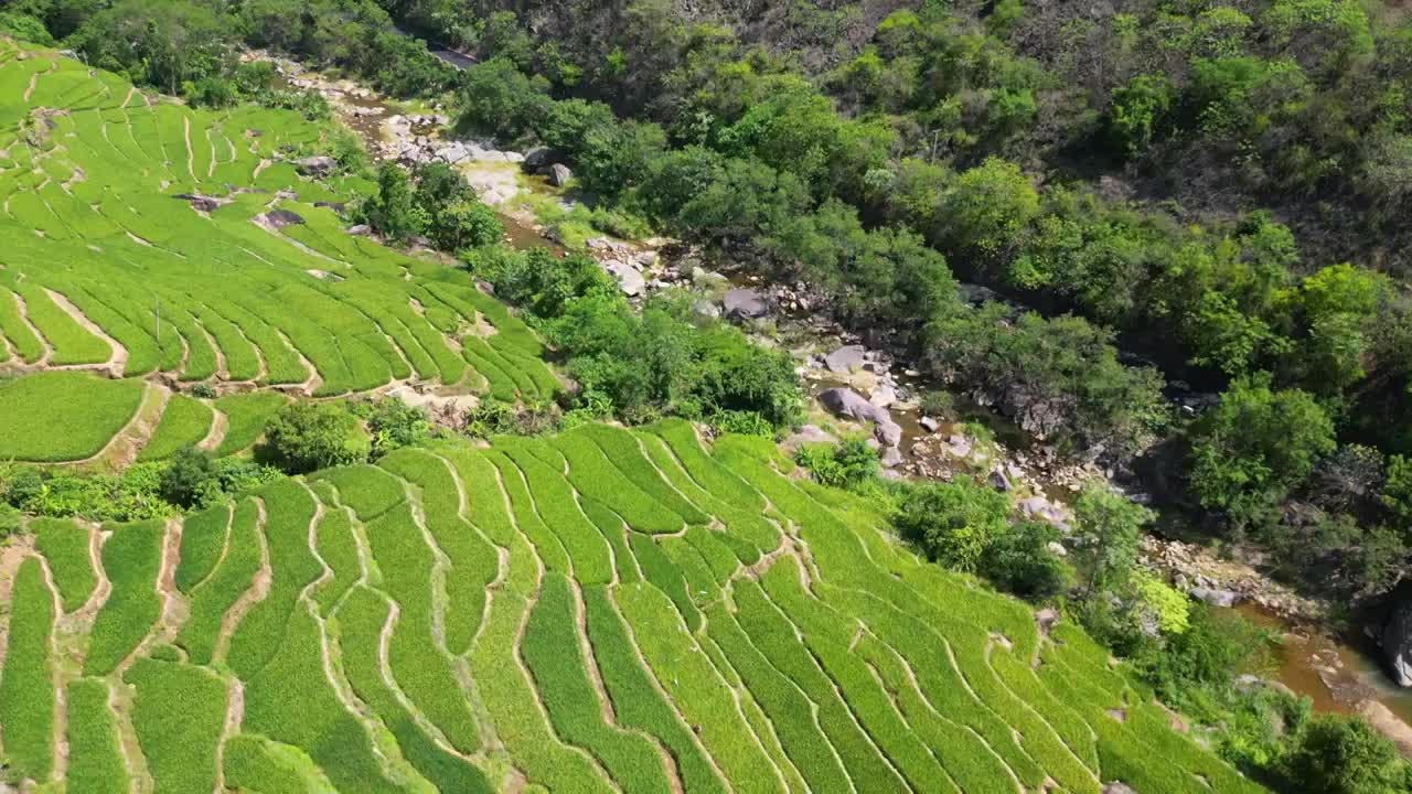 云南省玉溪市元江县梯田航拍视频素材