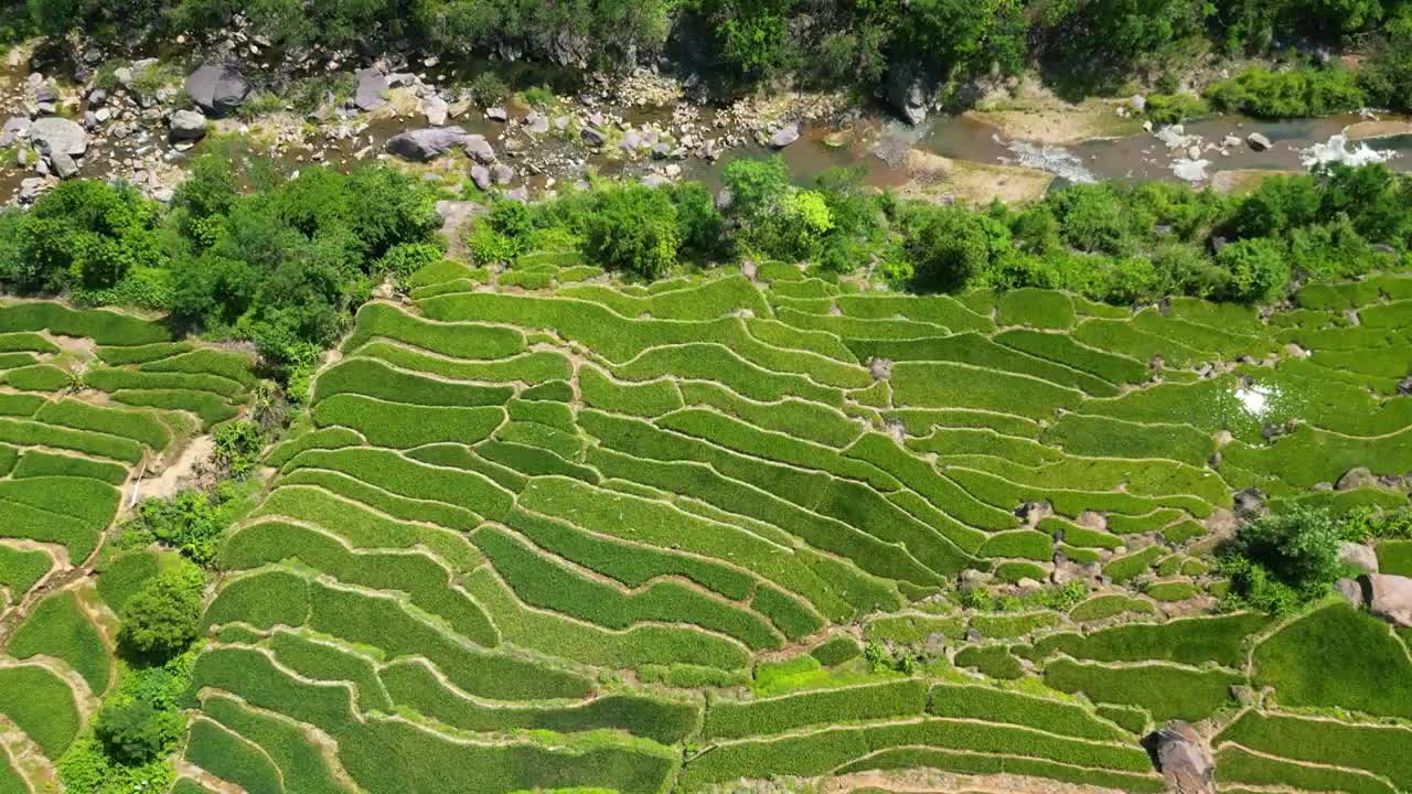 云南省玉溪市元江县梯田航拍视频素材