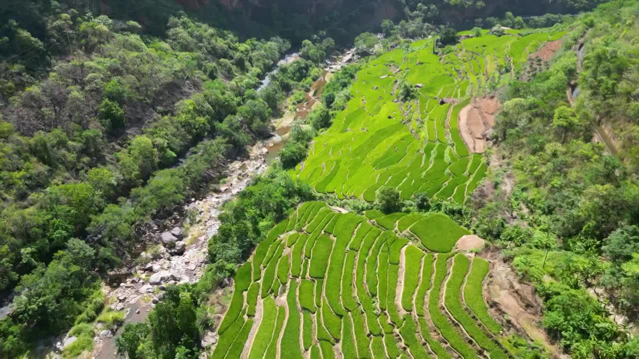 云南省玉溪市元江县梯田航拍视频素材