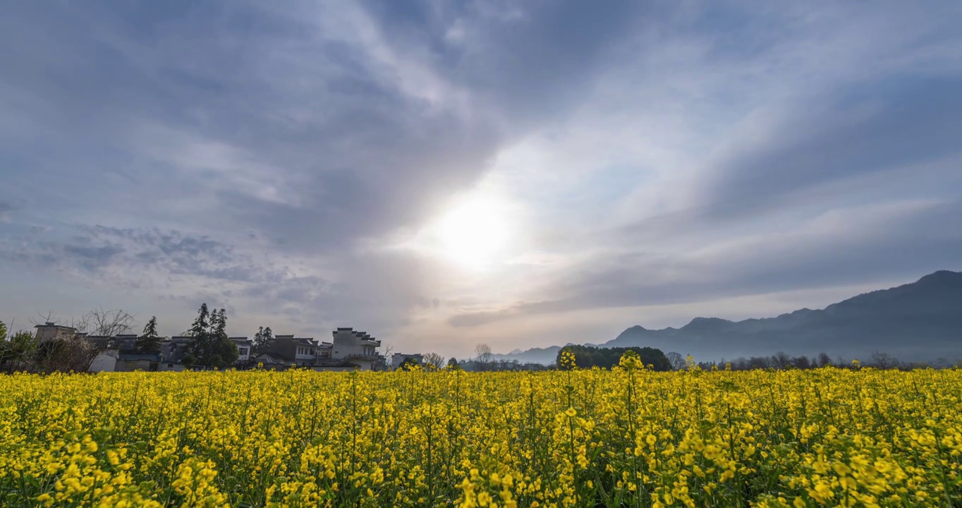 黟县南屏油菜花与落日延时视频素材