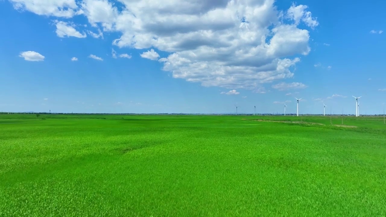 航拍草原湿地国家保护区视频素材